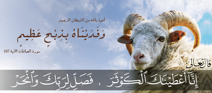 Cover Image for مسائل في فقه الأضاحي