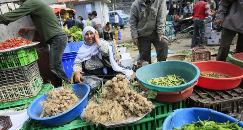 Cover Image for نقص الأمن الغذائي بغزة يصل 80% بسبب الحصار الصهيوني
