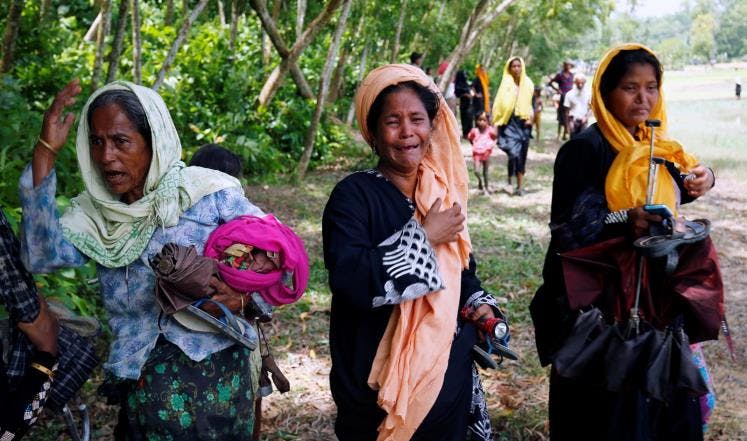 Cover Image for الروهينغا يؤكدون استمرار إحساسهم بالخطر في ميانمار واللاجئون يرفضون العودة في غياب ضمانات دولية