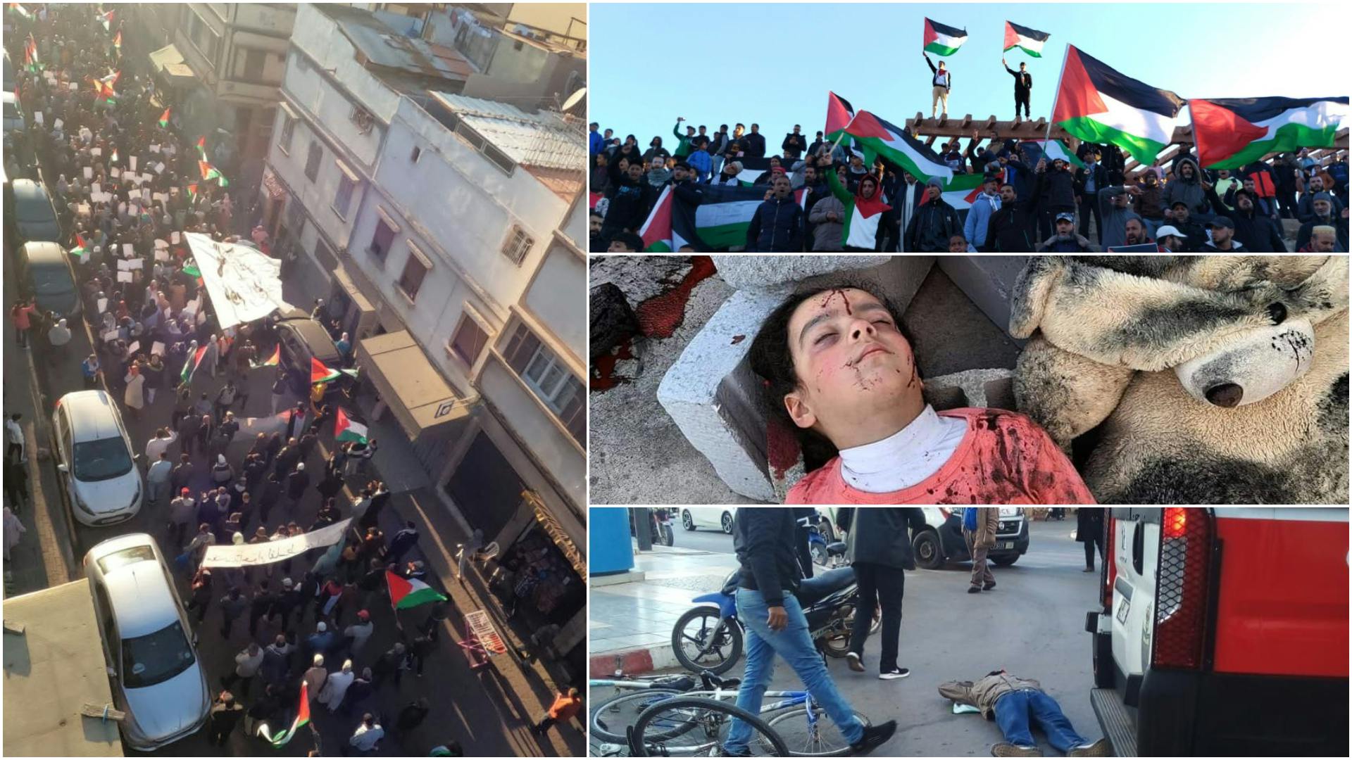 Cover Image for المغاربة مستمرون في دعمهم لأهل غزة.. 11 فعالية متميزة يوم الأحد 17 دجنبر