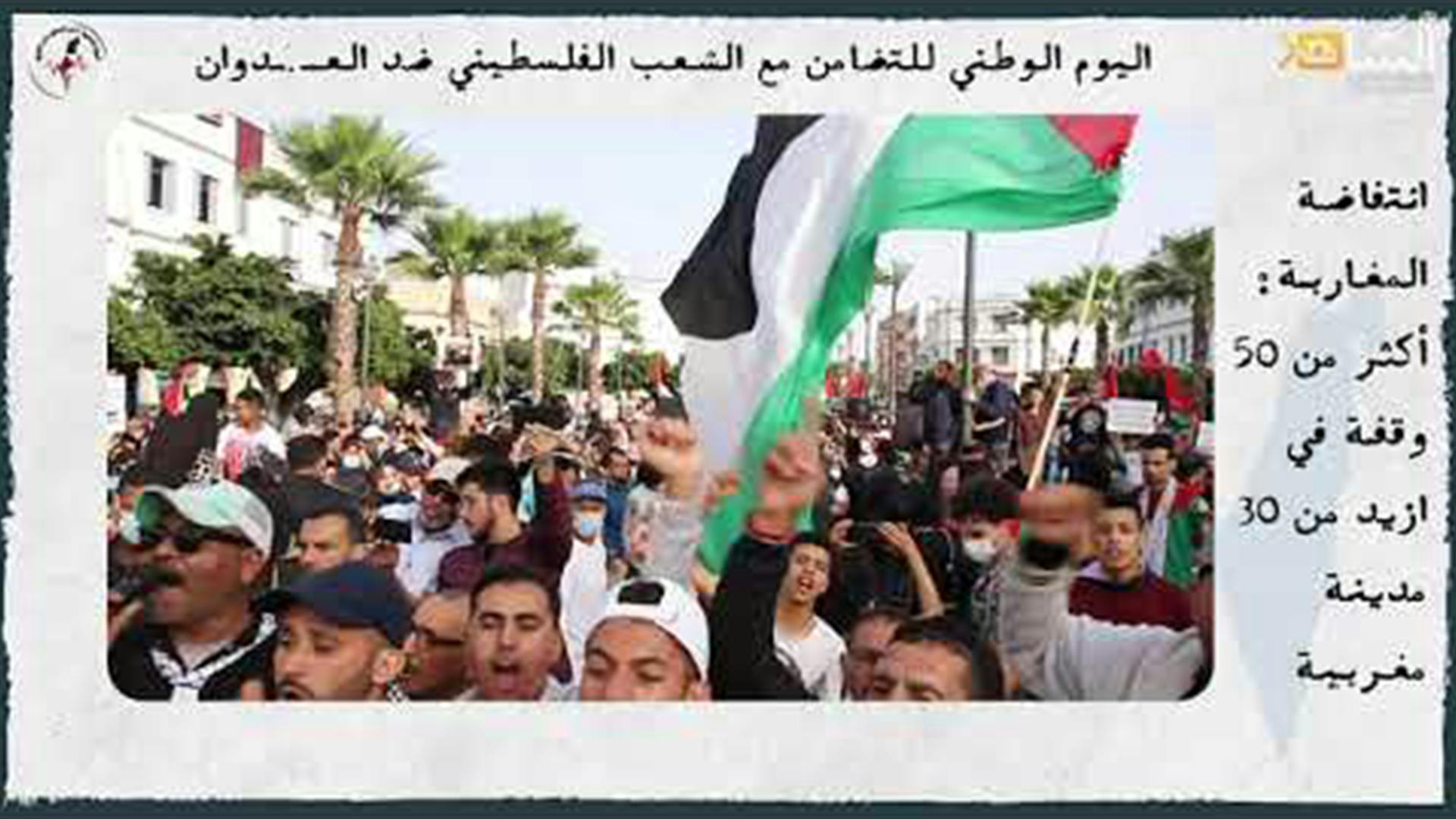 Cover Image for اليوم الوطني للتضامن مع الشعب الفلسطيني