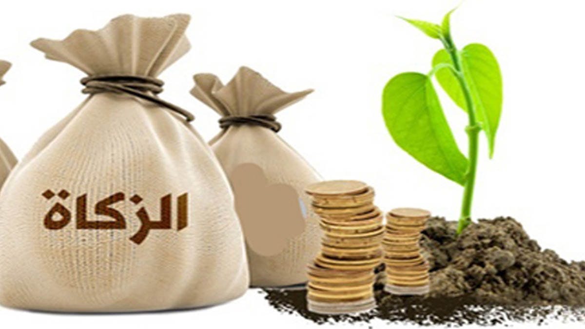 Cover Image for أحكام زكاة الفطر